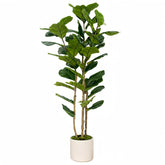 FLRLIVING arbol artificial ficus lyrata 5ft en jardinera blanca, ideal para sala.