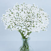 MAQIHAN gypsophila, ramo elegante y duradero para decoraciones