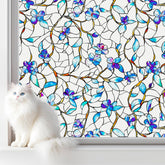 somwise film mate para privacidad diurna con luz natural.