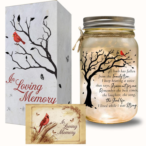 2IMT frasco mason con luces cálidas para conmemorar a un ser querido.