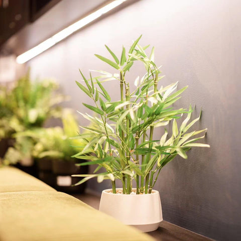 Detalle de hojas y tallos para toque natural