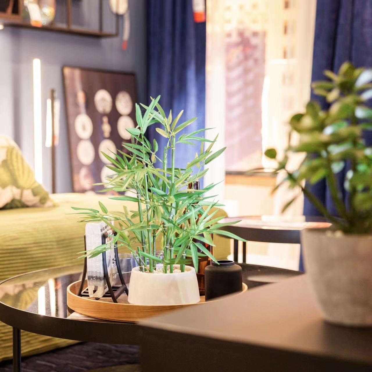 Empaque limpio y maceta blanca que complementan el estilo moderno de 365 Blooming Decor