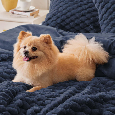 BEDELITE funda de almohada azul marino, coordinación de estilo