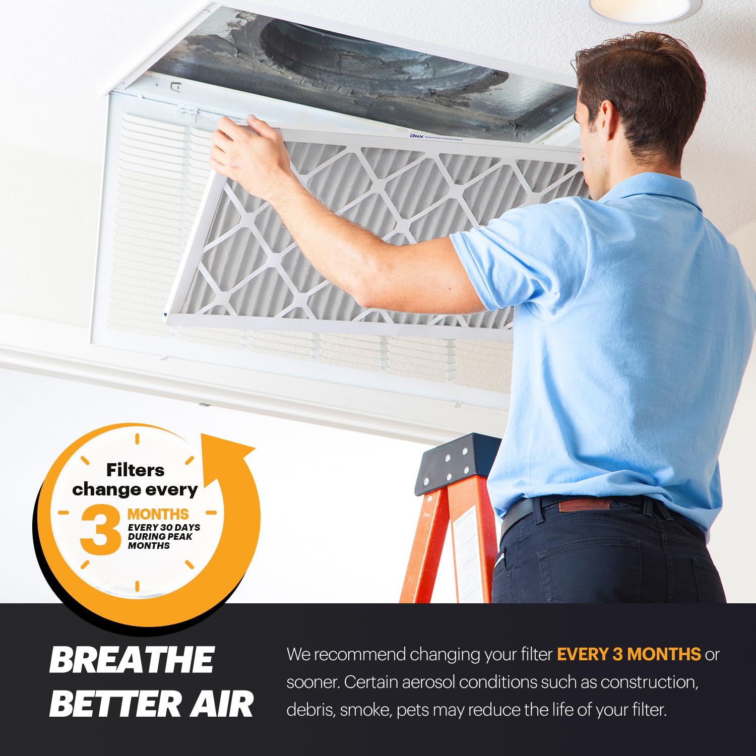 BNX TruFilter eficaz ante alérgenos y polvo: aire más limpio tras 48 horas.