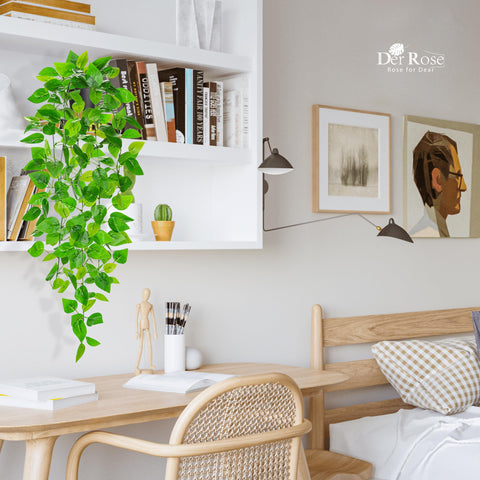 Der Rose planta colgante para sala, ideal para estanterías y paredes.