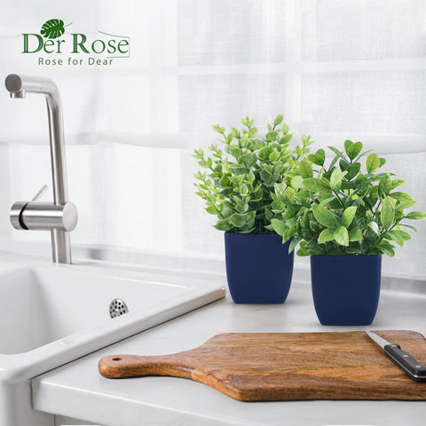 Der Rose planta decorativa pequeña para baño o pasillo