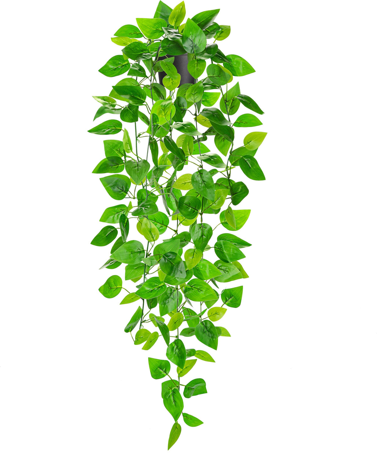 Der Rose planta colgante Potos 34 pulgadas, aspecto natural para interiores.