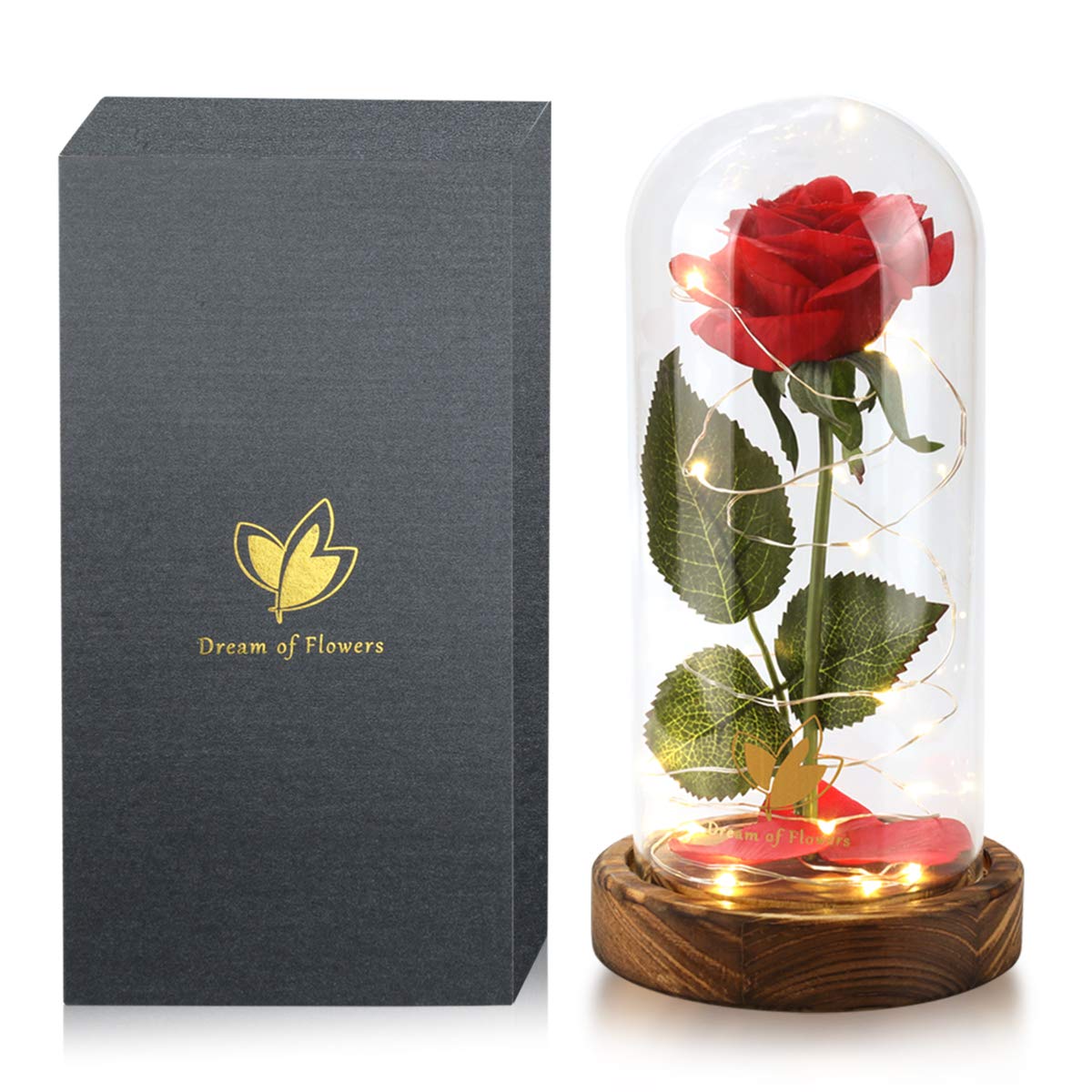 Rosa Beauty and the Beast de Dream of Flowers dentro de domo de cristal iluminado.