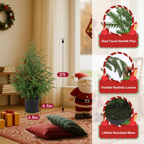 Decoración ideal para espacios reducidos como mesas o estanterías.