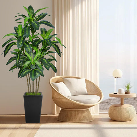 Decoración de oficina con Flydeer Dracaena, bajo mantenimiento