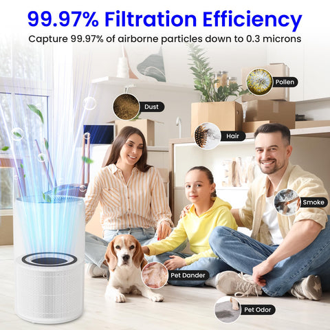 Future Way Core 300 2-pack carbón activado reduce olores y humo