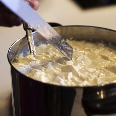 Cuajo microbiano Generic, almacenamiento de larga duración, despensa lista.