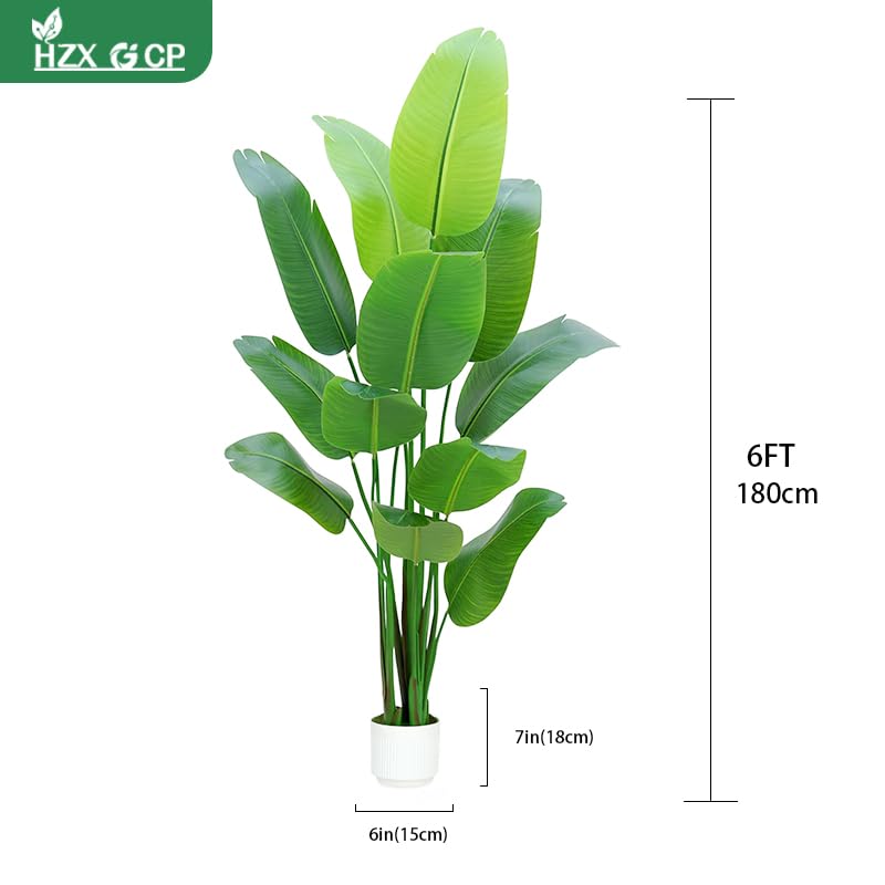 Ave del Paraiso de HZXGCP, troncos robustos y hojas grandes para decorar oficinas con estilo.