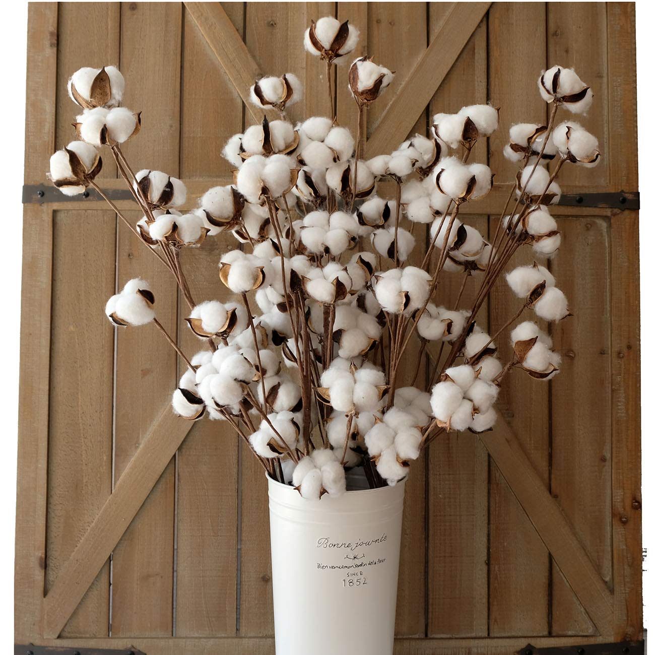 Idyllic ramas de algodón de 31 pulgadas con 12 cápsulas para decoración rústica.