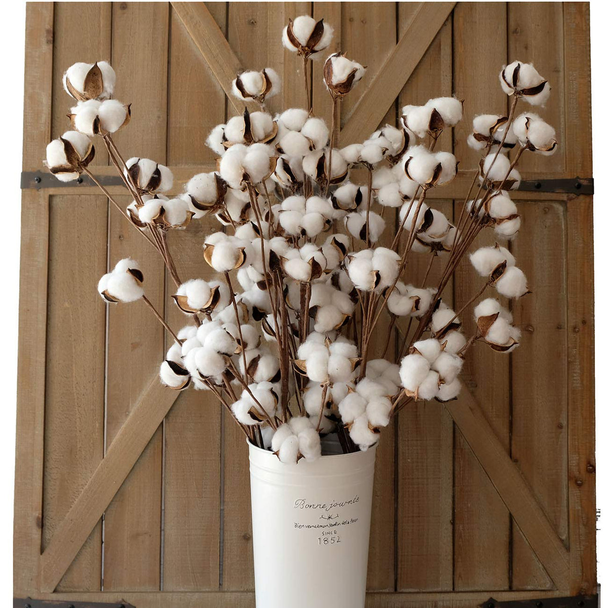 Idyllic ramas de algodón de 31 pulgadas con 12 cápsulas para decoración rústica.