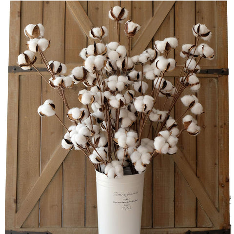 Idyllic ramas de algodón de 31 pulgadas con 12 cápsulas para decoración rústica.