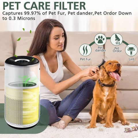Absorbe olores de mascotas, ideal para hogares con gatos y perros.
