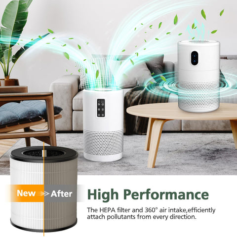 isinlive B-D02L filtro carbono activado para olores.