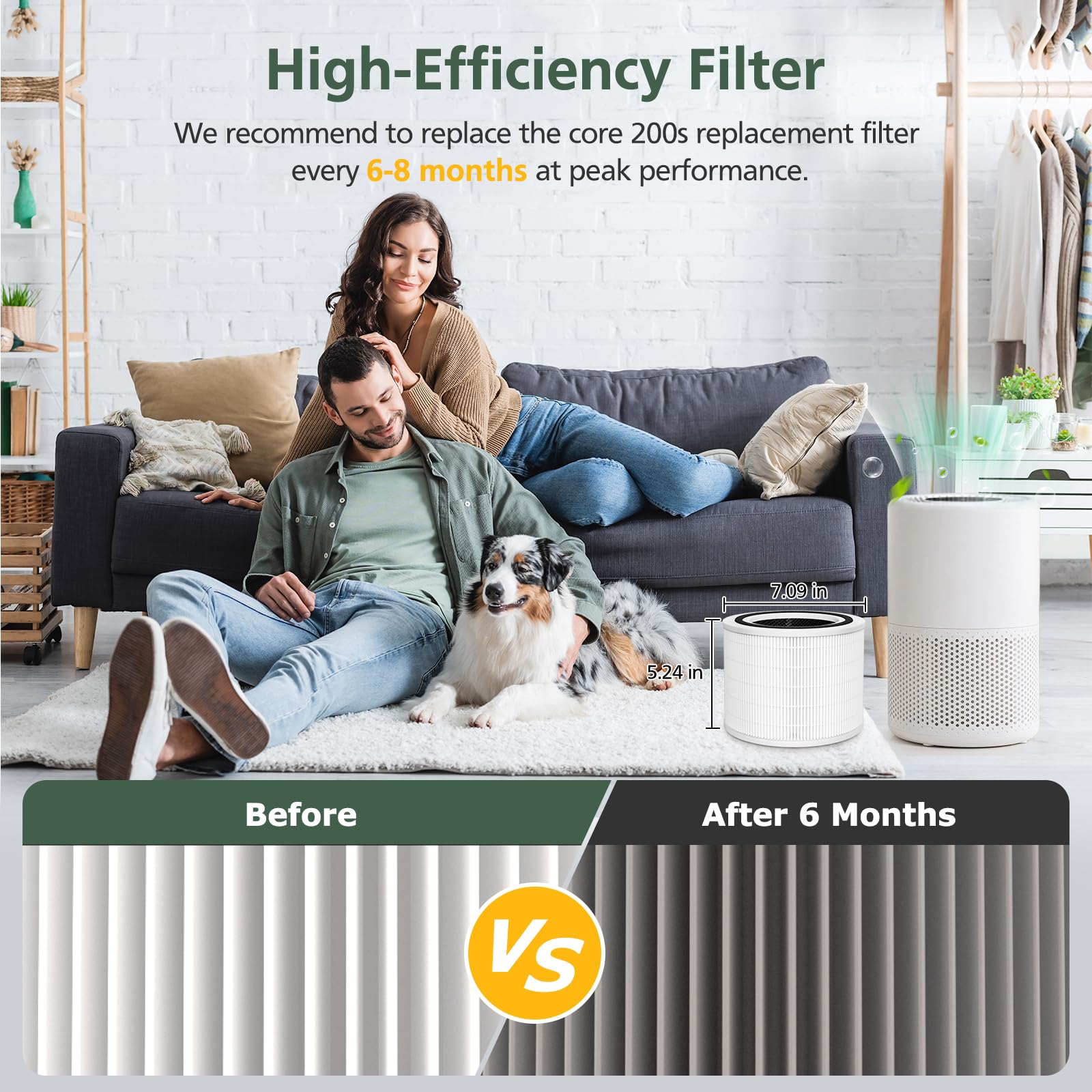 isinlive Core 200S RF, pack de dos filtros para repuestos