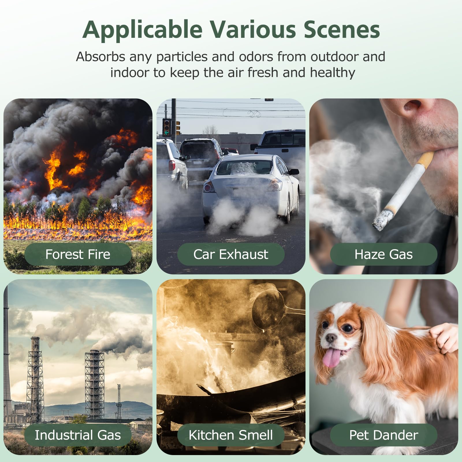 isinlive Core 200S RF, papel certificado FSC para consumo responsable