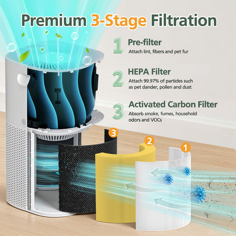 isinlive Core 600S carbono activado: neutraliza gases y malos aromas.