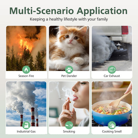 isinlive Core 600S reemplazo semestral: mantiene rendimiento óptimo.