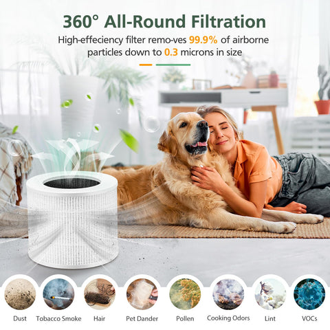 isinlive Core Mini: reemplazo sin herramientas en cuatro pasos