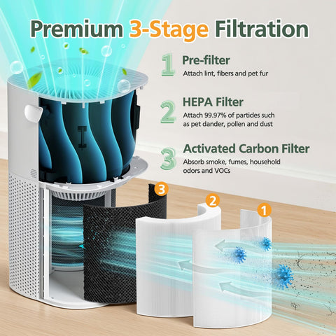 isinlive Core 600S, carbón activo, neutraliza olores y gases del entorno.