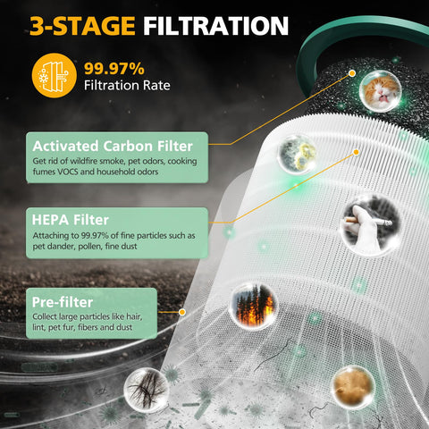 isinlive Filtro activado carbono TP01, elimina olores y vapores en la estancia.