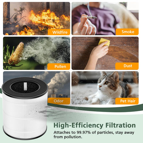 isinlive filtro FSC de papel certificado para purificadores.