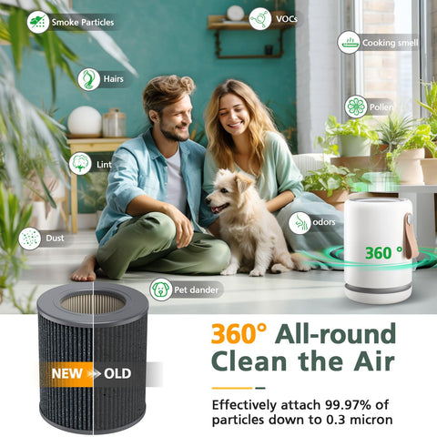 isinlive Filtro con papel FSC certificado para sostenibilidad