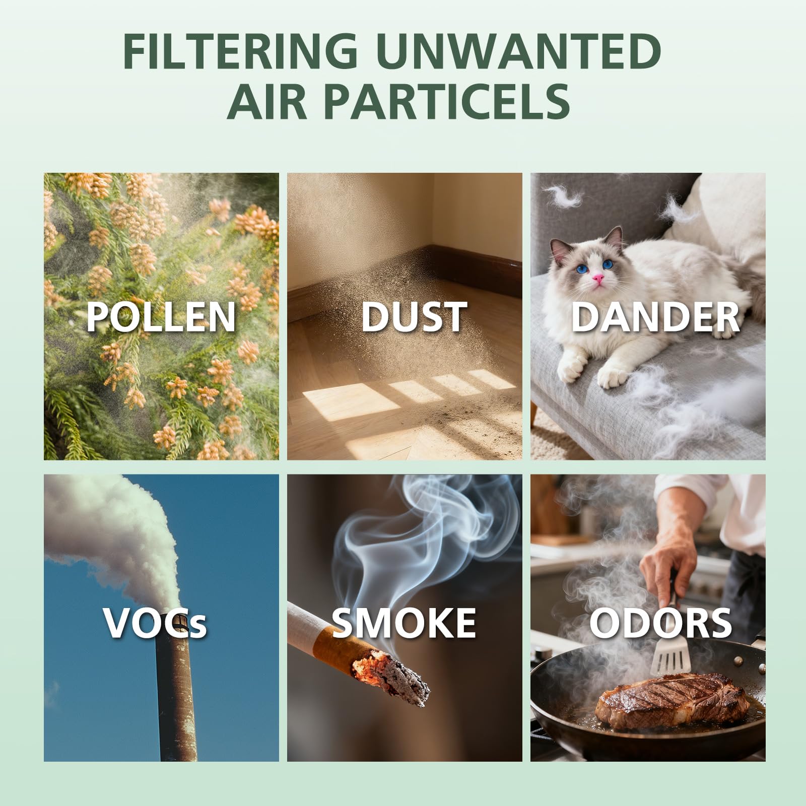 Soporte al cliente rápido y fiable de isinlive.