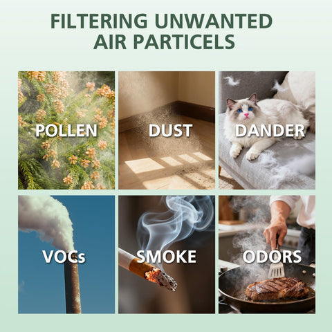 Soporte al cliente rápido y fiable de isinlive.