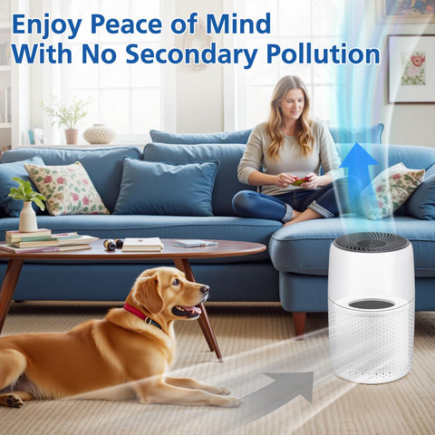 Compatibilidad con LEVOIT Core Mini para ajuste perfecto.