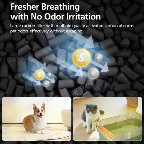 Paquete de 4 filtros de repuesto para Core Mini listo para recambio.