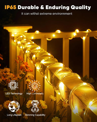 LightSeek cadena solar 33 ft en árbol para ambiente nocturno cálido.