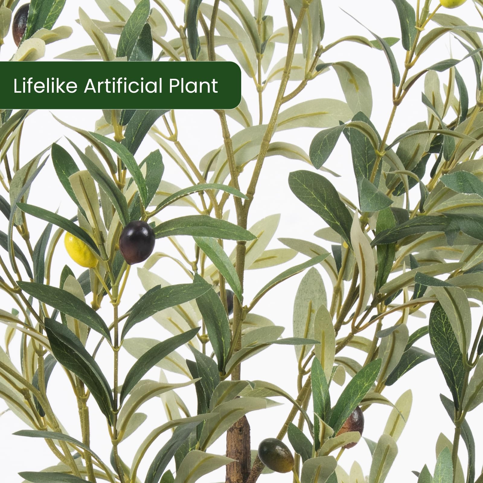 MCTYBB árbol-oliva-base-pesa brinda estabilidad en macetas.