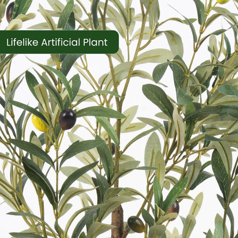 MCTYBB árbol-oliva-base-pesa brinda estabilidad en macetas.