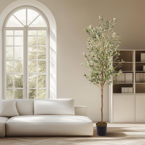 MCTYBB arbol-oliva-interior-oficina mejora el ambiente sin mantenimiento.