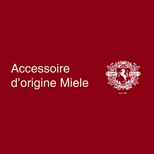 Uso en muebles, estanterías y lámparas con SSP 10 para limpieza detallada