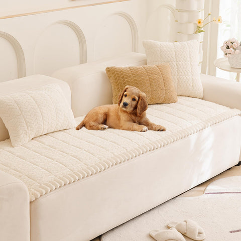 Funda lavable a máquina, fácil limpieza para dueños de mascotas.