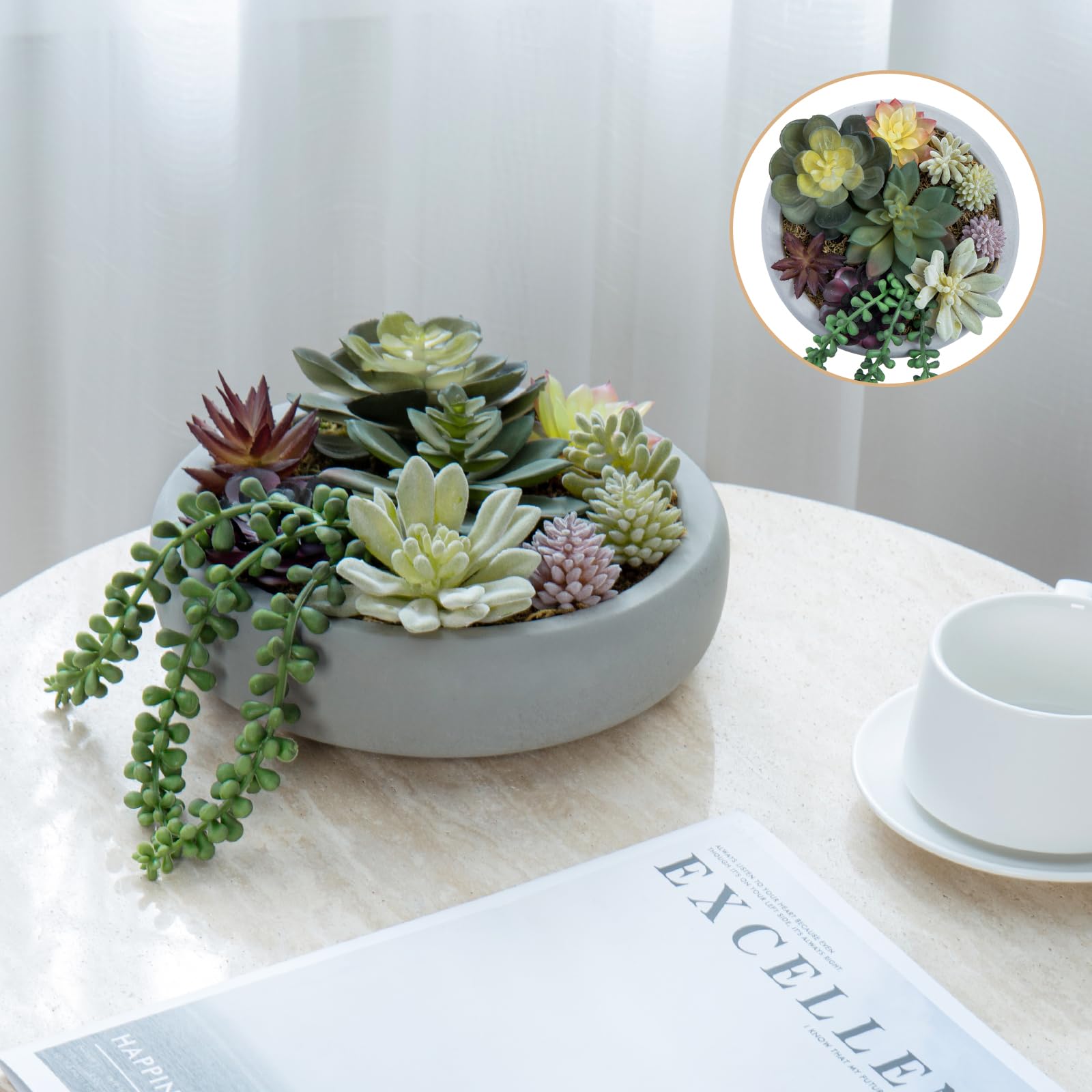 MyGift arreglo-decorativo-escritorio-suculentas-concreto-gris, aporta color suave.