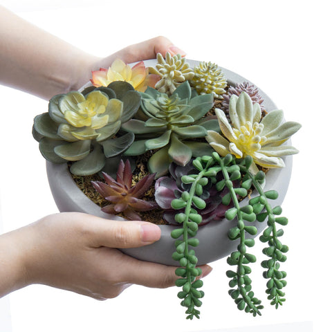 MyGift diseño-decorativo-suculentas-concreto-gris, ideal para escritorio y repisas.