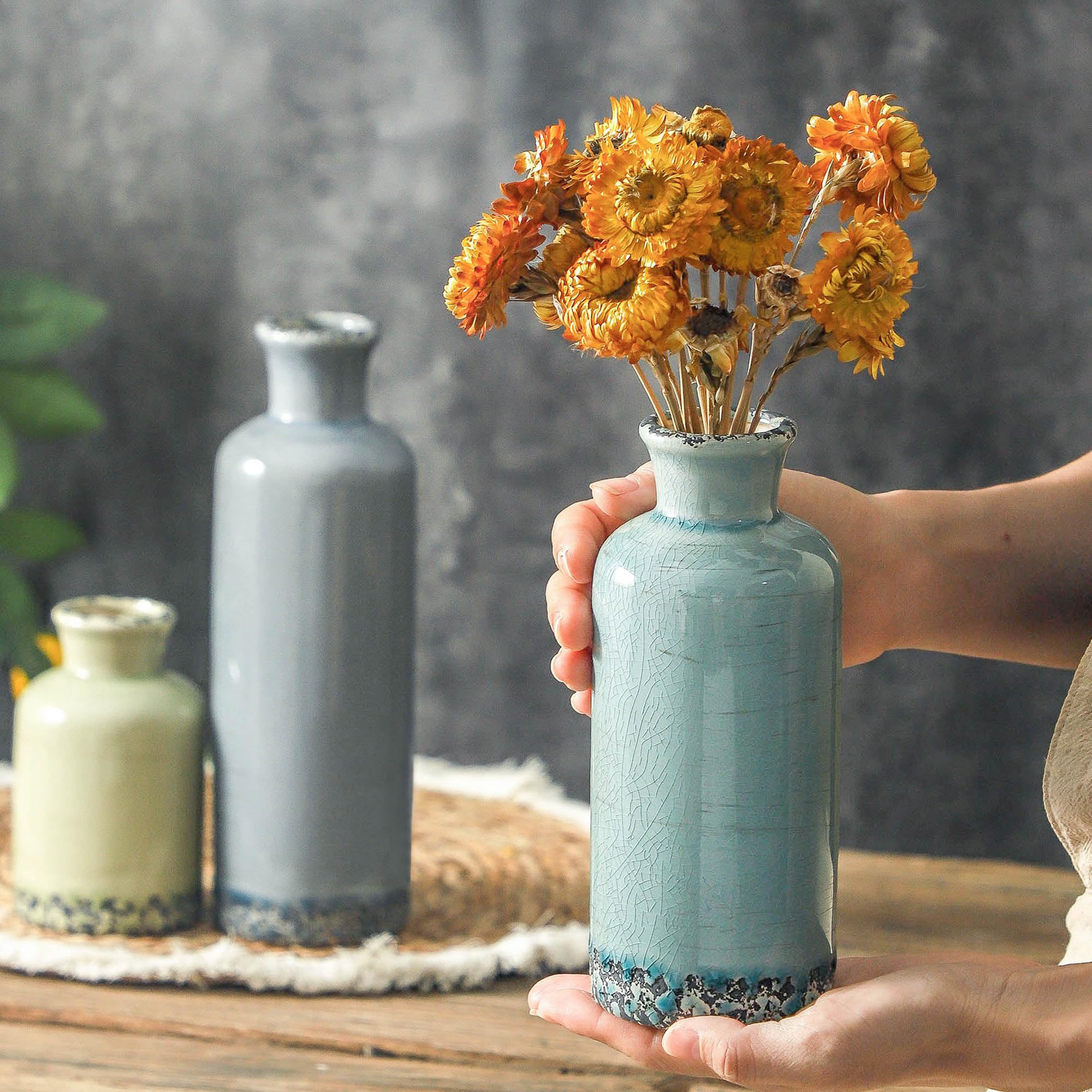 OOIT vasos cerámica estilo rústico moderno para estantes