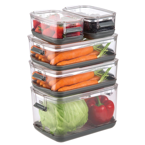 Progressive ProKeeper pequeño 3qt: mantiene bayas y pequeños productos frescos