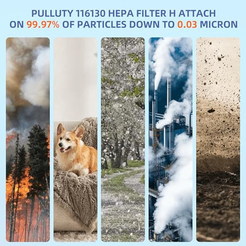 Pulluty filtro HEPA para Winix 5500-2 AM80, compatibilidad asegurada.