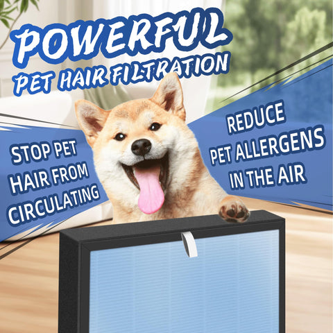 Pulluty HSP001 garantía y soporte al cliente