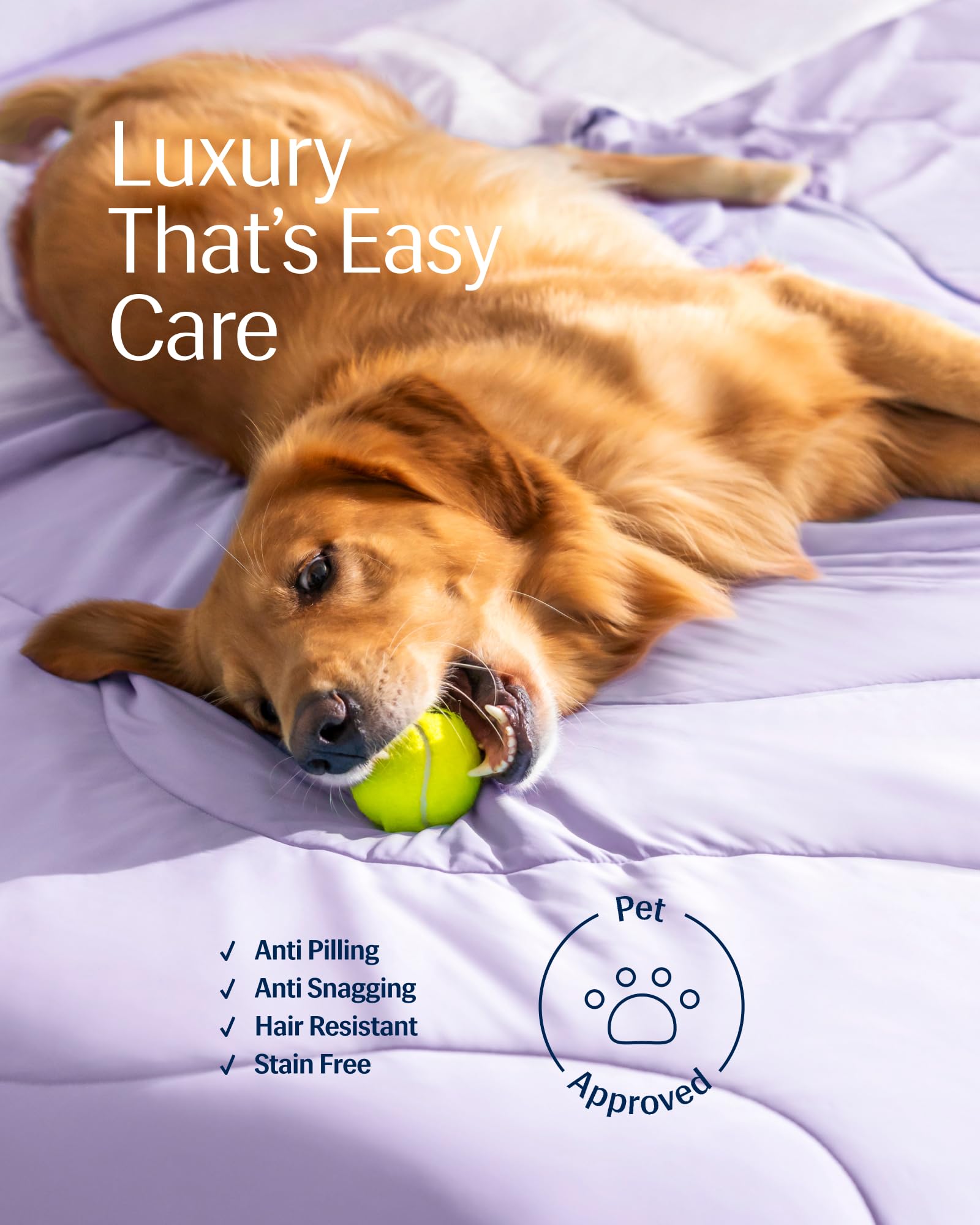 REST Evercool ambiente-lavanda-brisa: tono lavanda que decora la habitación