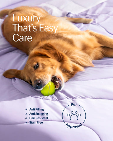 REST Evercool ambiente-lavanda-brisa: tono lavanda que decora la habitación