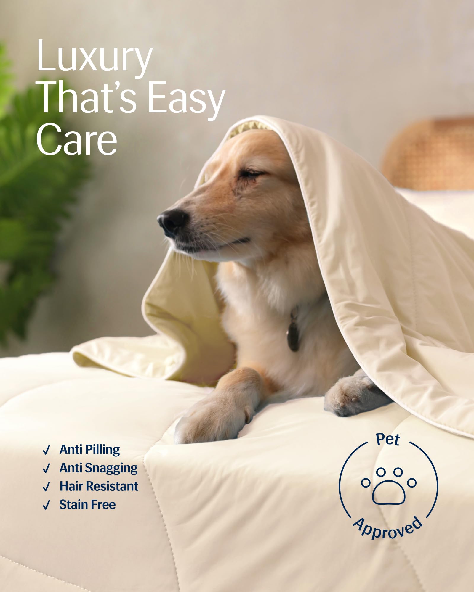 REST Evercool, uso nocturno durante todo el año para dormir cómodo